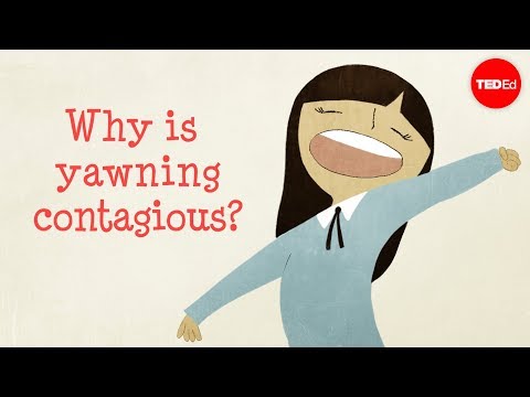 Why Is Yawning Contagious? - Find Out!