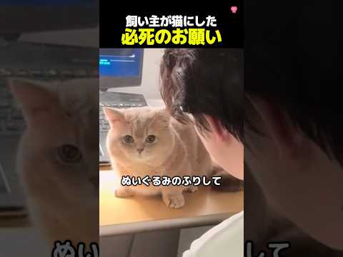 猫の演技力が高すぎた