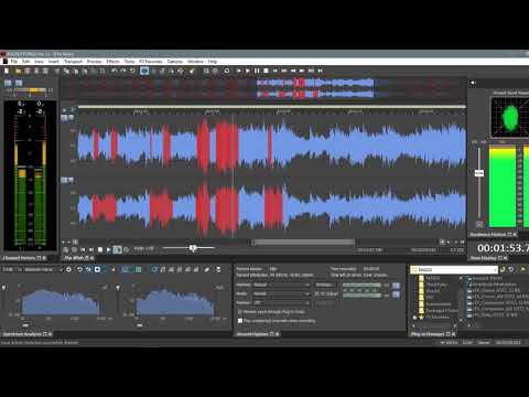 DMT - The Wish - SOUND FORGE PRO 13 Vocal Activity Demo