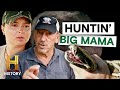 Hunting In Unfamiliar Territory For Big Mama Swamp People Serpent Invasion S5