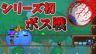 【テラリア】装備揃ってないのにボス戦・・・？/初心者は教わりながらマスター攻略するってさPart2【ゆっくり実況】