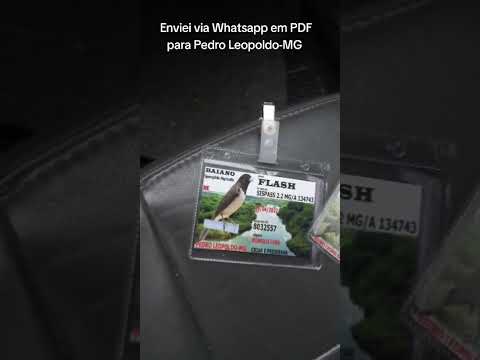 Enviei via Whatsapp em PDF para Pedro Leopoldo-MG 🔥🫅