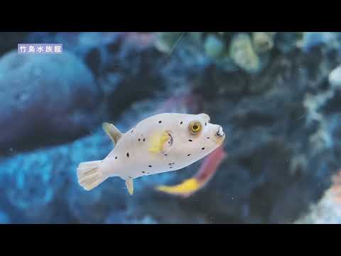 蒲郡で心ときめく旅♪