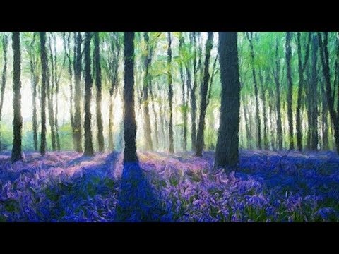 The Dance Of Light And Color