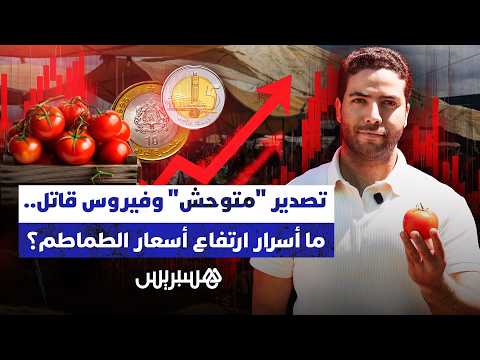 “أسرار” ارتفاع أسعار الطماطم 