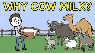 Why Do Humans Mostly Drink Cow’s Milk?