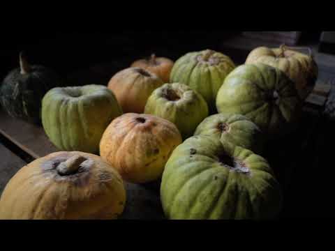 MANUEL MORAGA   YUMBEL SERNATUR