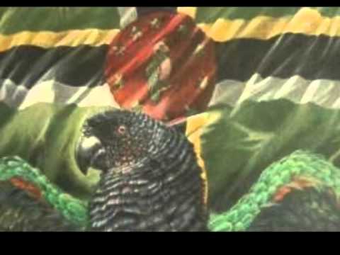 midnight groovers  rigrete