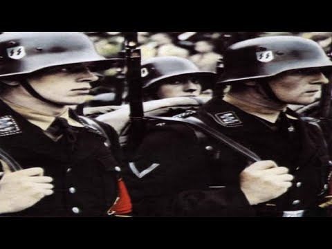 Die Waffen SS -  An der Ostfront