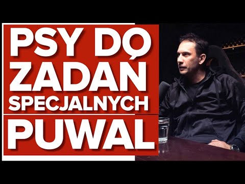 KRZYSZTOF "PUWAL" PUWALSKI - JAK WYKORZYSTYWAĆ PSY DO ZADAŃ SPECJALNYCH - OPERATOR GROM JEDNOSTKI K9