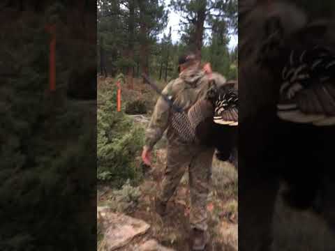 Raw Footage of a great Tom Turkey hunt in Southern Utah