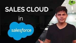 Understanding Leads, Accounts, Contact, Opportunities, Products, Pricebooks objects in Sales Cloud