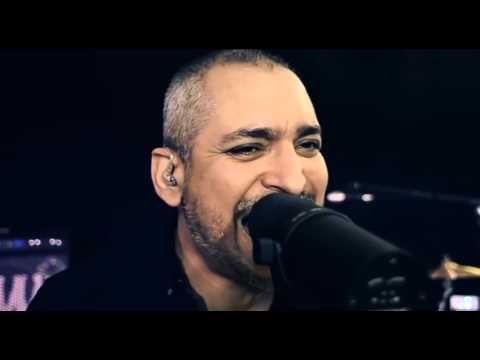 Video The Circus  Somerset