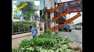 เลื่อยยาว ตัดกิ่งไม้สูง ไร้สาย แบตเตอรี่อึด กรีนเวิร์ค GREEN WORK 085-087-2222 อมรอิเล็คทริค เลื่อย