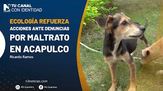 Ecología refuerza acciones ante denuncias por maltrato en Acapulco