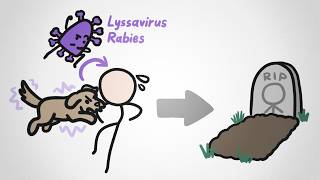 The Weird Reason Rabies Is So Deadly thumbnail