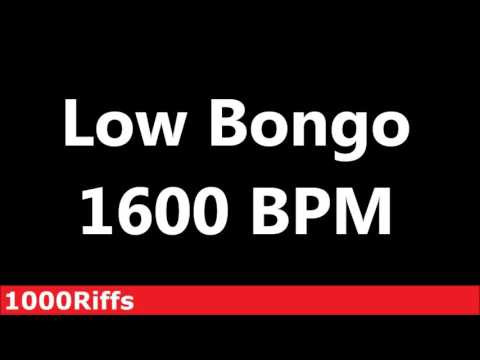 Low Bongo Metronome : 1600 BPM ✓ Beats Per Minute