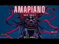 Amapiano Mix 2024 | Soulful Amapiano Instrumental Beats