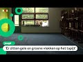 Langer vakantie vanwege schimmel op school