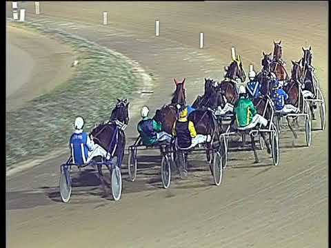 Trotto 03/11/2017 - 6ª corsa