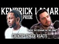 Country Singer Reacts To Kendrick Lamar Pride