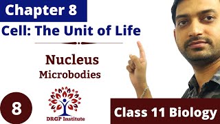 Chapter 8 | Cell: The Unit of Life | Nucleus | Microbodies | Class 11 RBSE NCERT | Part-8
