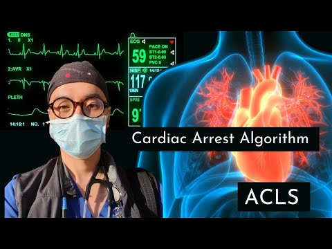 ACLS: Cardiac Arrest Algorithm