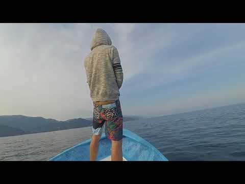 Bruno Mansur / Estoy mas vivo