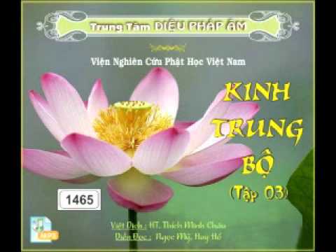 Kinh Trung Bộ 3 Phần 1 - DieuPhapAm.Net