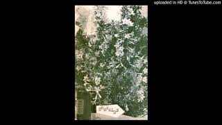 Emeralds - Grass Ceiling