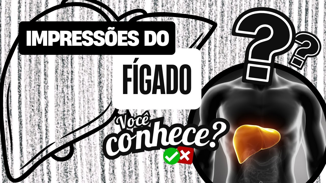 ANATOMIA: Impressões do fígado