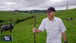 Farming Without Subsidies: Could New Zealand’s Approach Work Elsewhere?