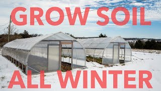 How to Improve Your Soil Over Winter