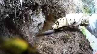 Wasp nest excavation in New Zealand