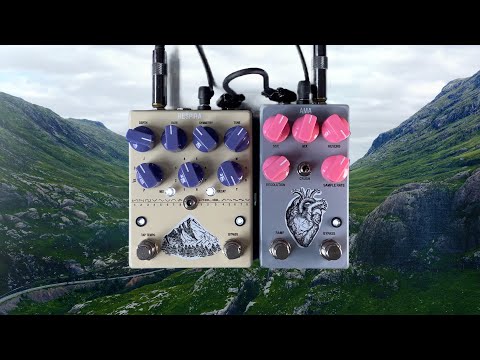 Immagine AC Noises Respira Shimmer Reverb + Multimode LFO Tremolo Black | Fast International Shipping! - 8