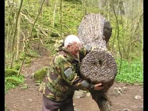 Kívánságfa Angliában