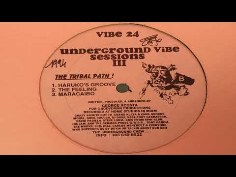 George Acosta - Haruko's Groove