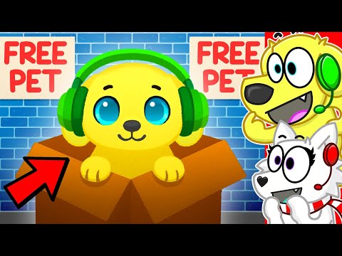 DO NOT ADOPT HIM.. RUN AWAY!