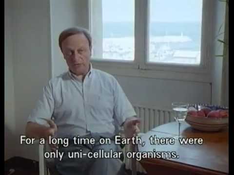 Death by Design (1995, Peter Friedman and Jean-François Brunet, documentary)