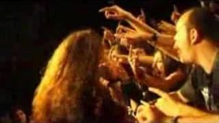 Vision Divine-The Secret of Life