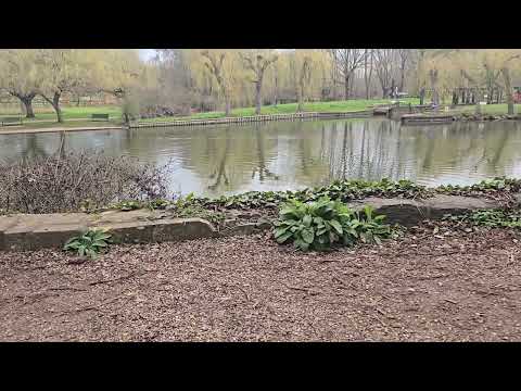 Epi - 229- A journey through London, England,UK