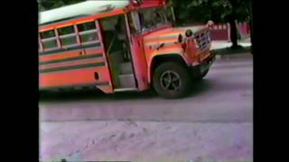 Whitewoods - College Weed Dream