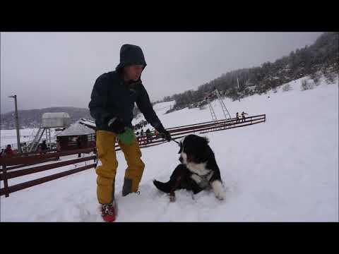 Weekend sulla neve a Mrkopalj