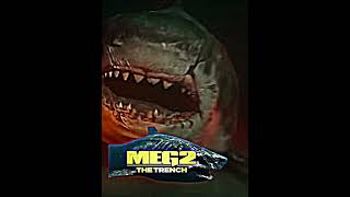 Download lagu Megsvs Megs #megashark Vs #themeg #themeg2 #megalodon #asylum #edit #wisedit #sharkweek #shark mp3 Download lagu Megsvs Megs #megashark Vs #themeg #themeg2 #megalodon #asylum #edit #wisedit #sharkweek #shark mp3