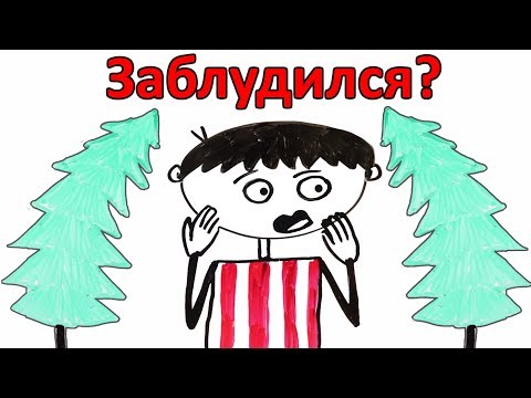 Что, если ты заблудился в лесу?