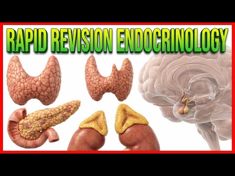 Rapid Revision Internal medicine Endocrinology - Dr Aishwarya
