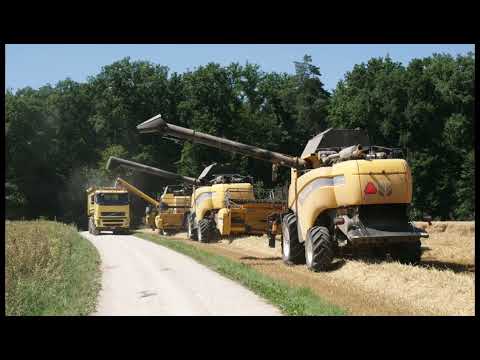 Team Zimmermann, Ernte 2022