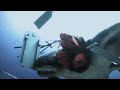 3 Headed Shark Attack Death Scene With 2 Headed Shark Attack Sounds
