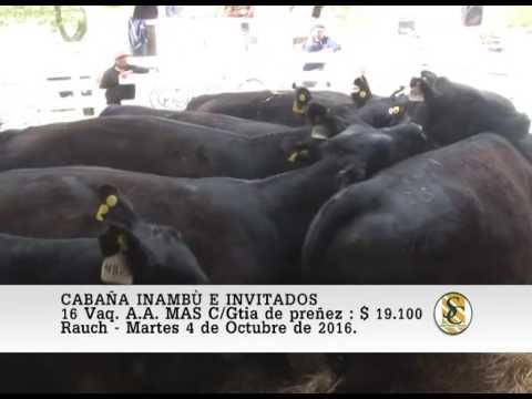 04-10-16 Venta de Vientres - Cabaña El Rincòn e Invitados - Rauch.