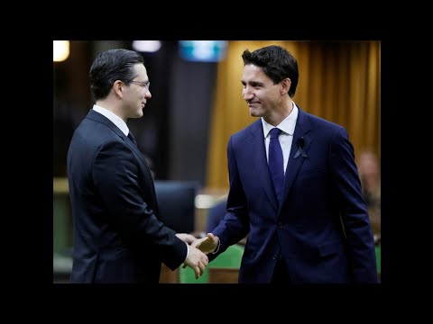 LILLEY UNLEASHED Political winners and losers of 2022